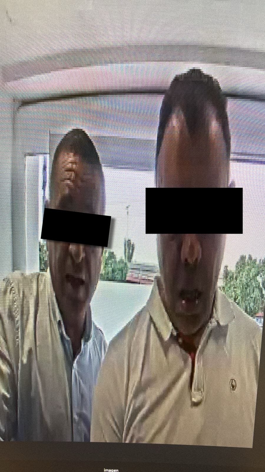 Imagen del artículo