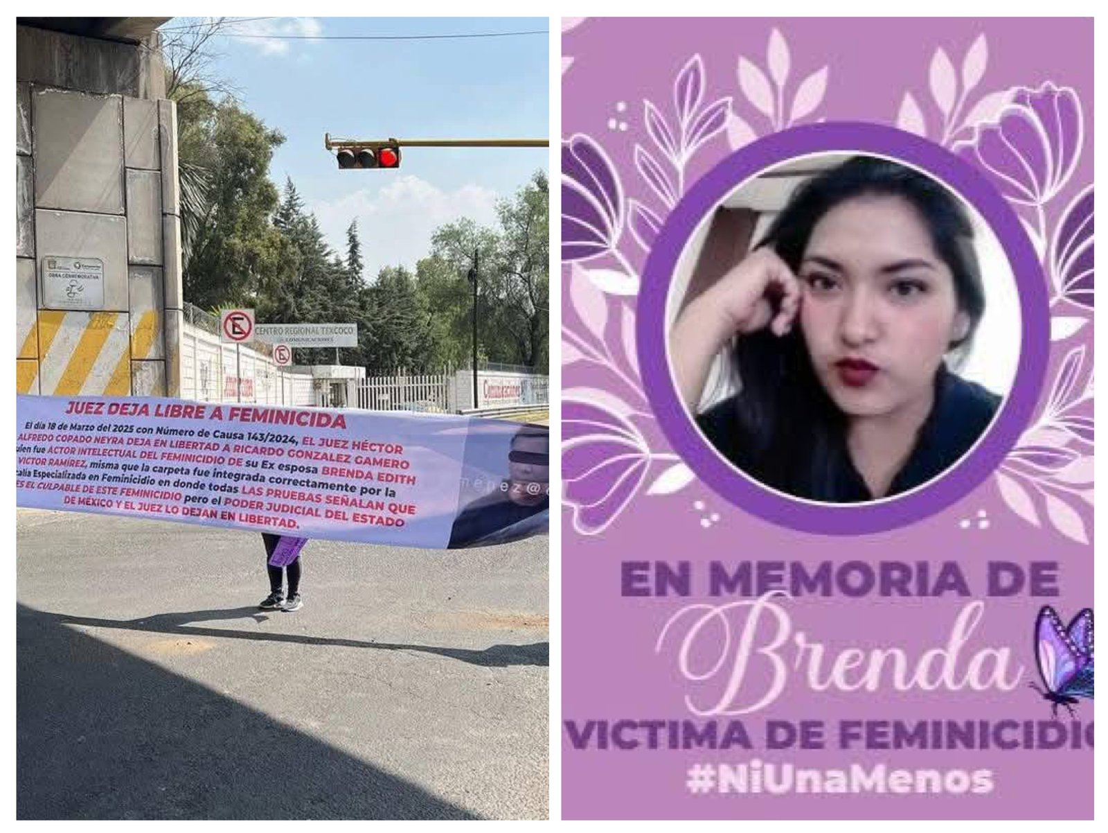 Imagen del artículo