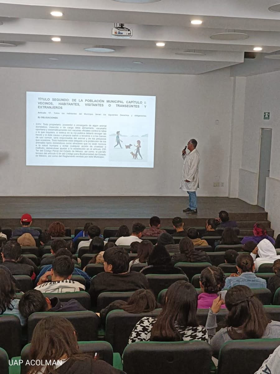 Imagen del artículo