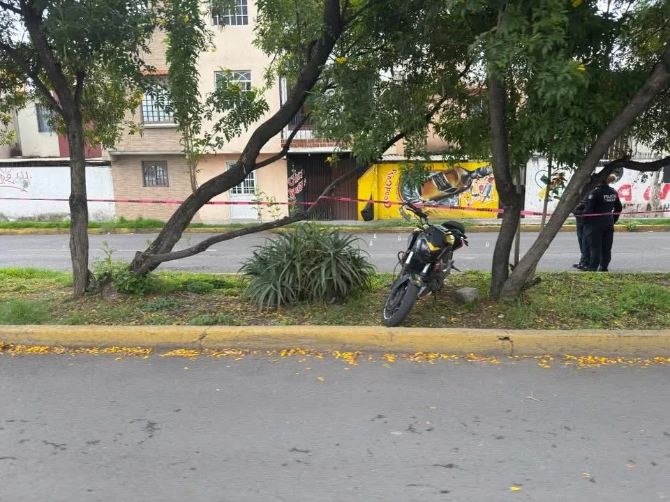 Ejecutan a cuatro con todo y mascota en Coacalco 
