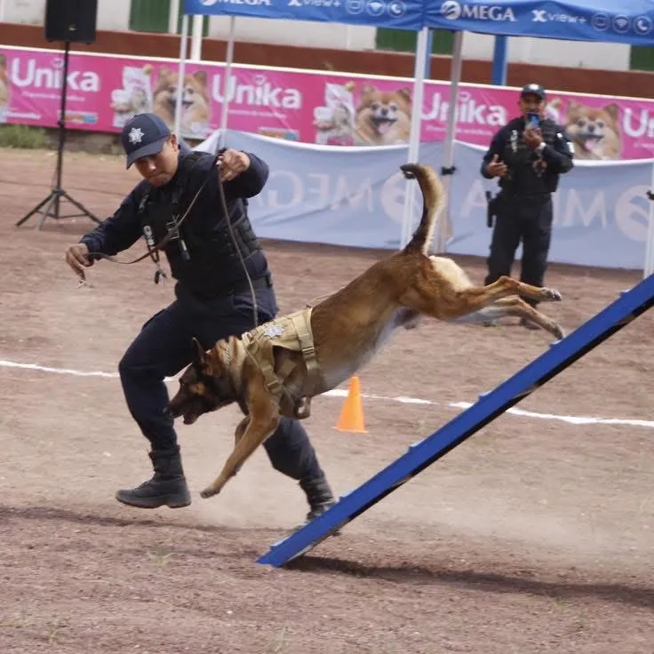 Imagen 3