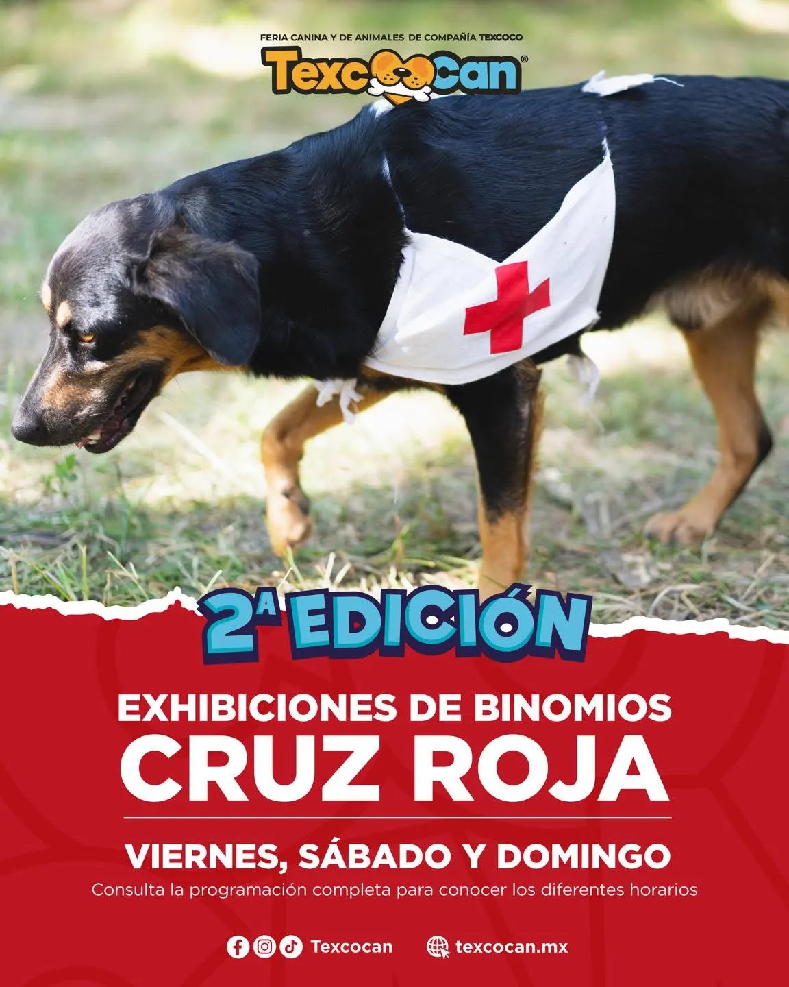 Imagen 4