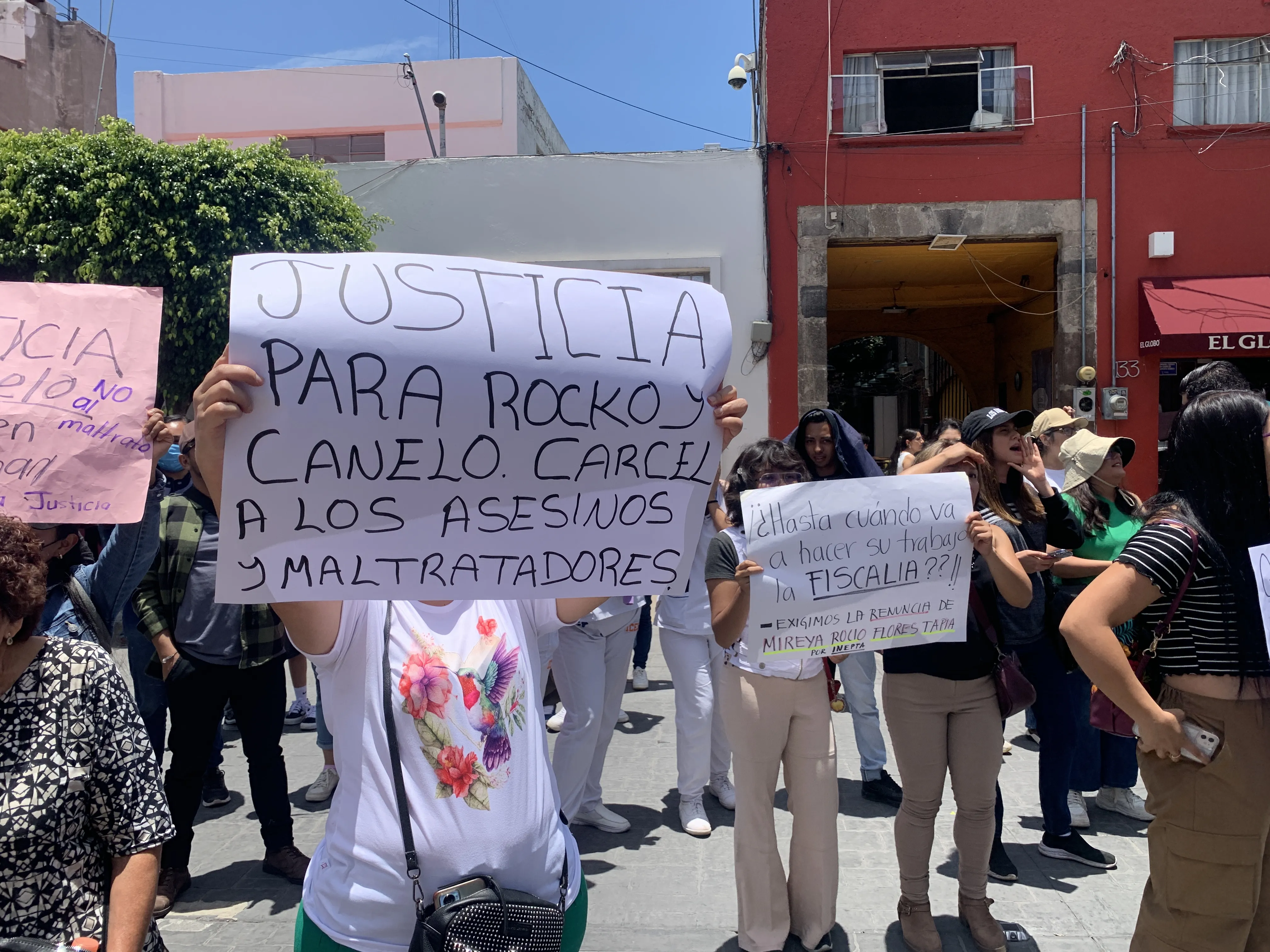Imagen 3