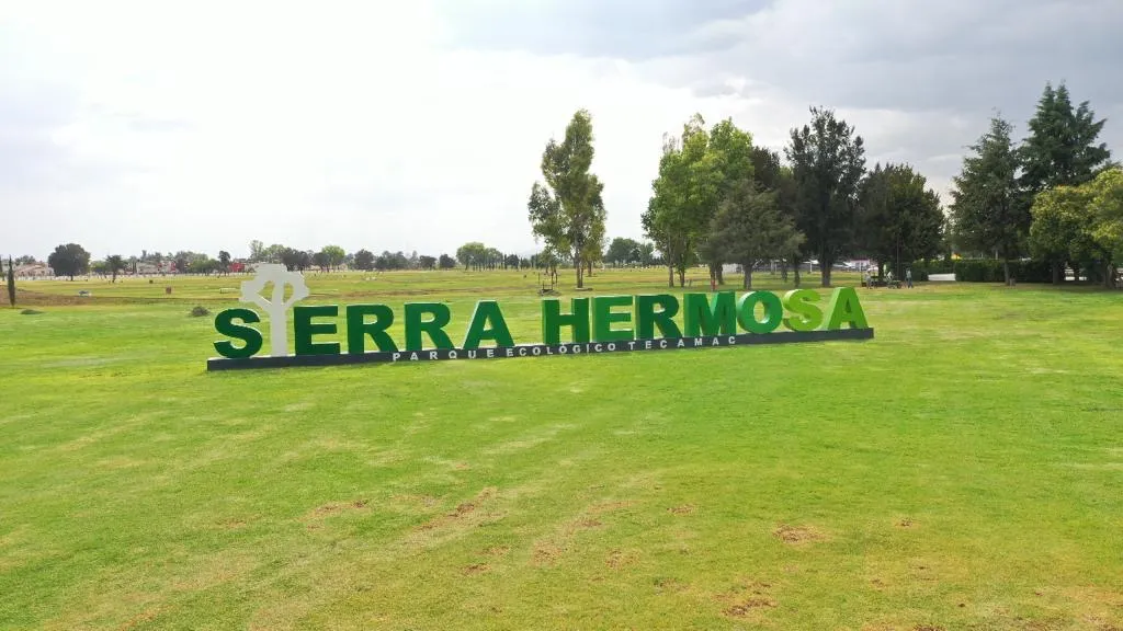Imagen 2