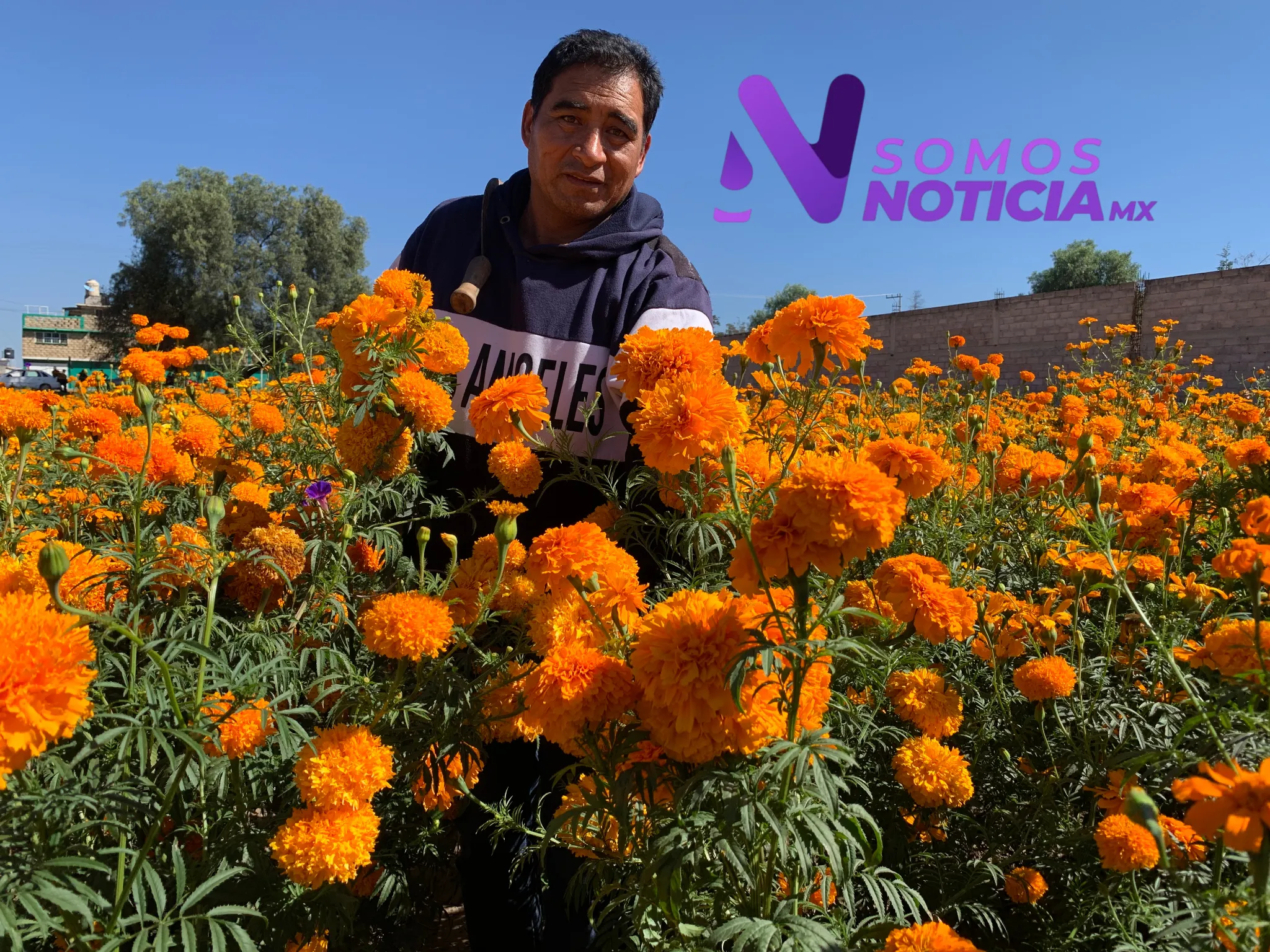 La flor que ilumina el camino: tradición viva en San Lorenzo Tlalmimilolpan