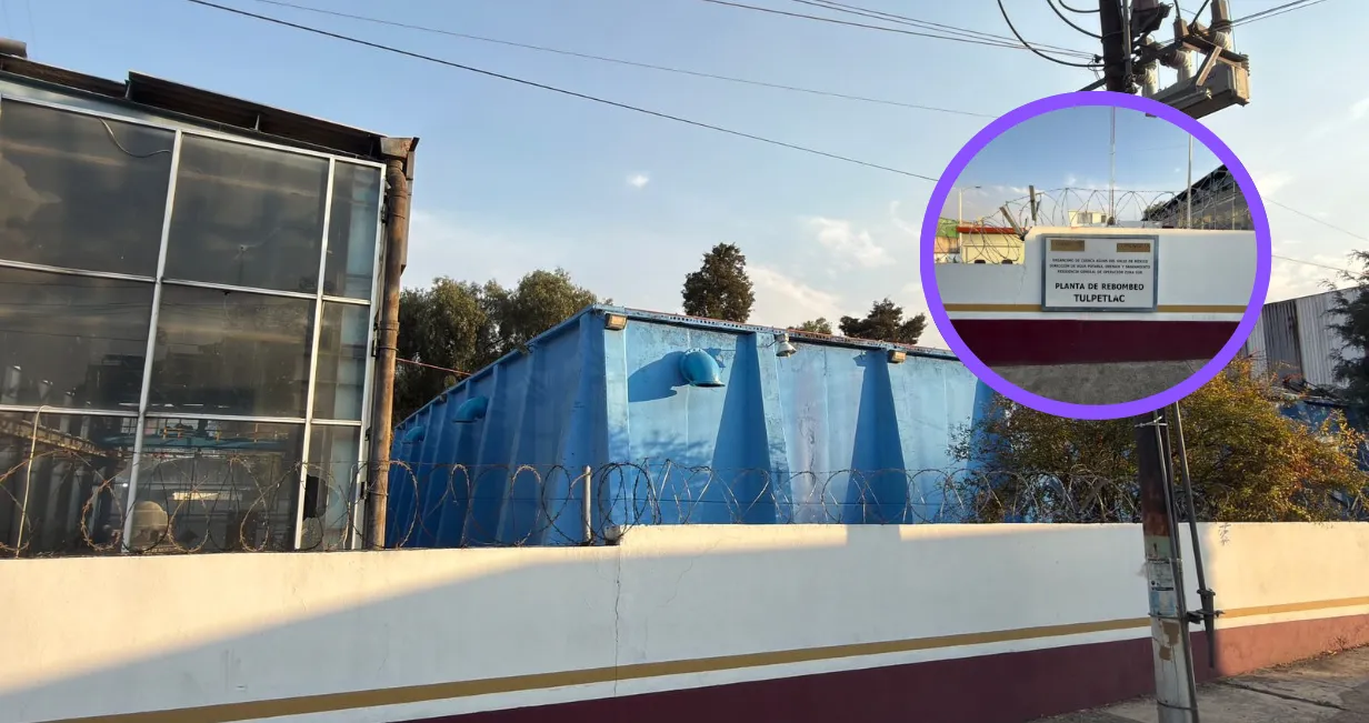 Imagen del artículo