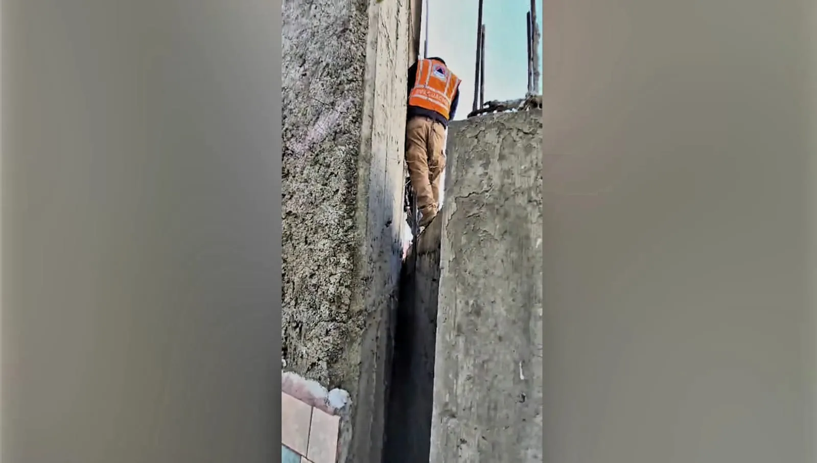 PROTECCIÓN CIVIL DE ECATEPEC SALVA A PERRITA ATRAPADA ENTRE BARDAS