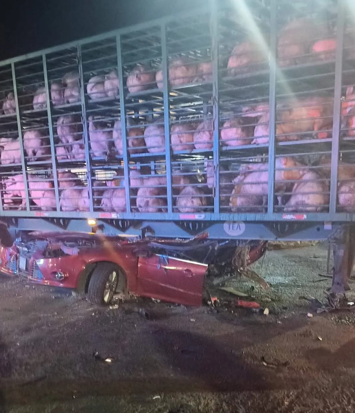 Fatal choque en la México–Texcoco deja víctimas mortales