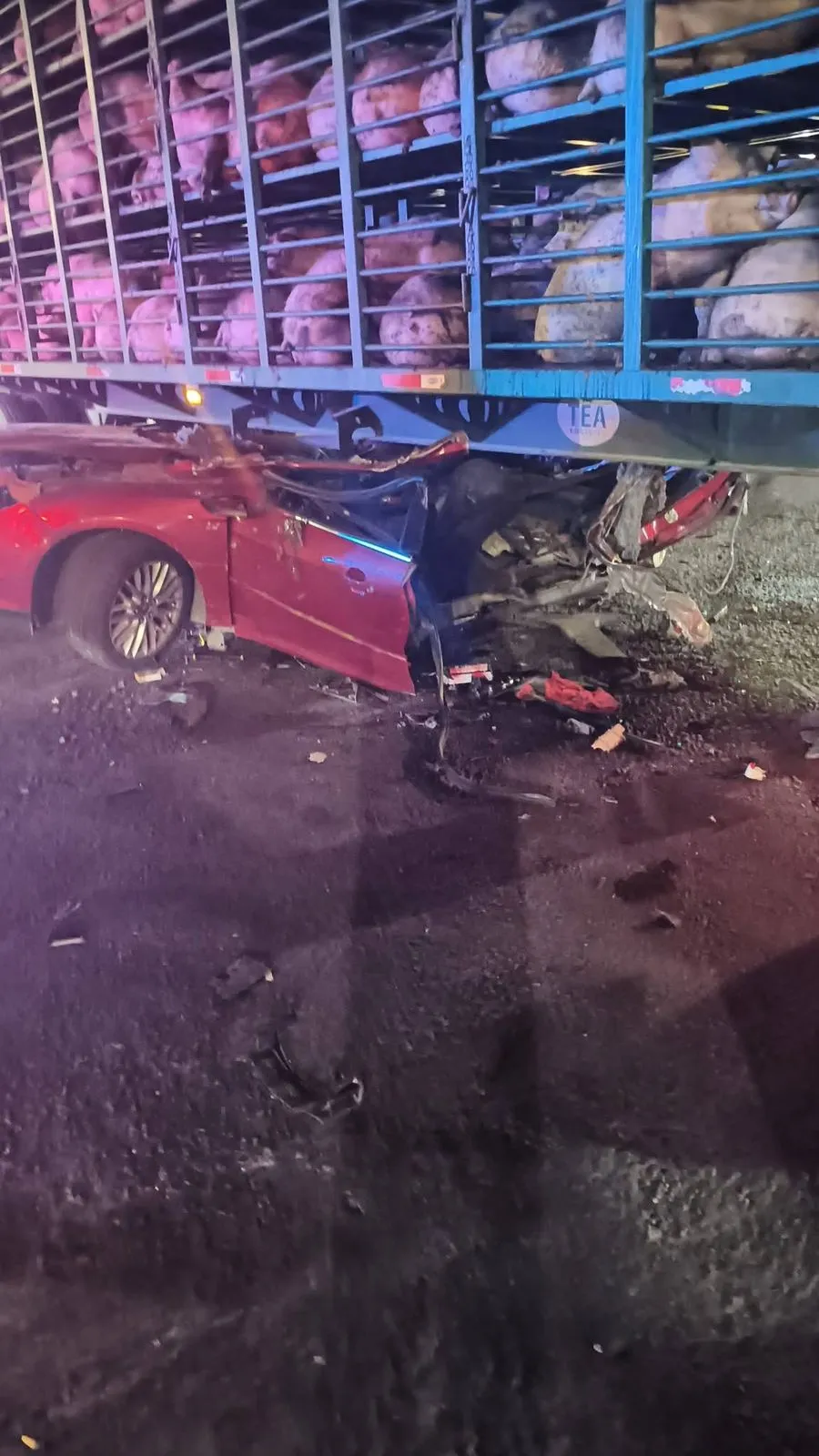 Fatal choque en la México–Texcoco deja víctimas mortales