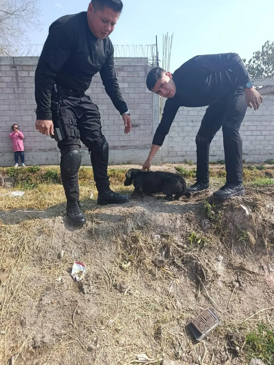 Logran rescatar a cachorro de canal de aguas negras en Tecámac