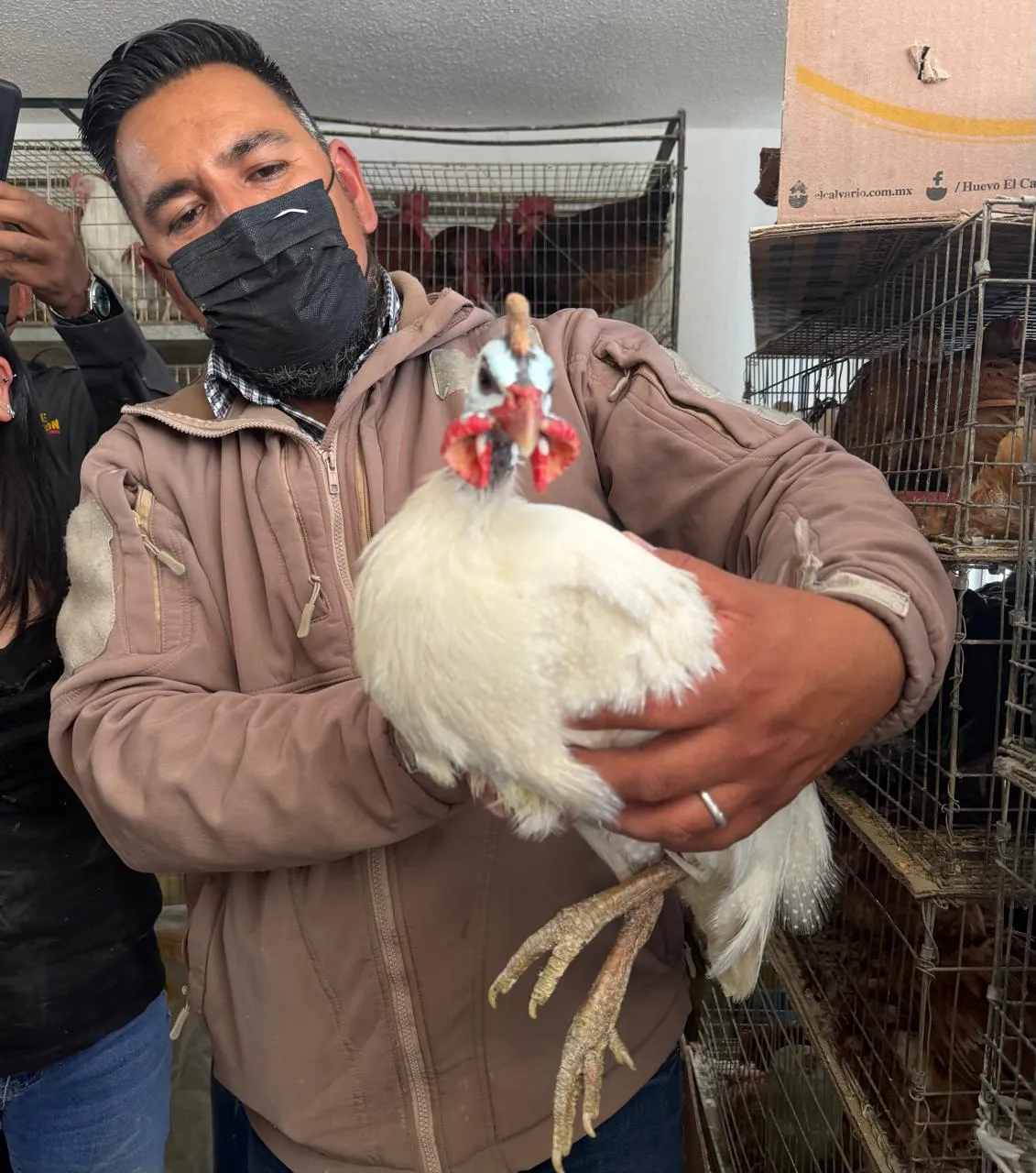 Más de 700 animales son rescatados tras cateo en Ecatepec