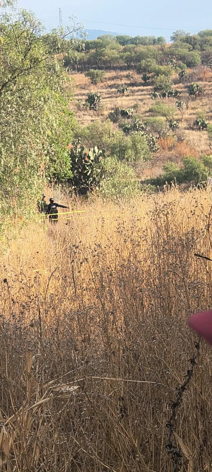 Conmoción en Texcoco tras localizar restos de una menor en carretera