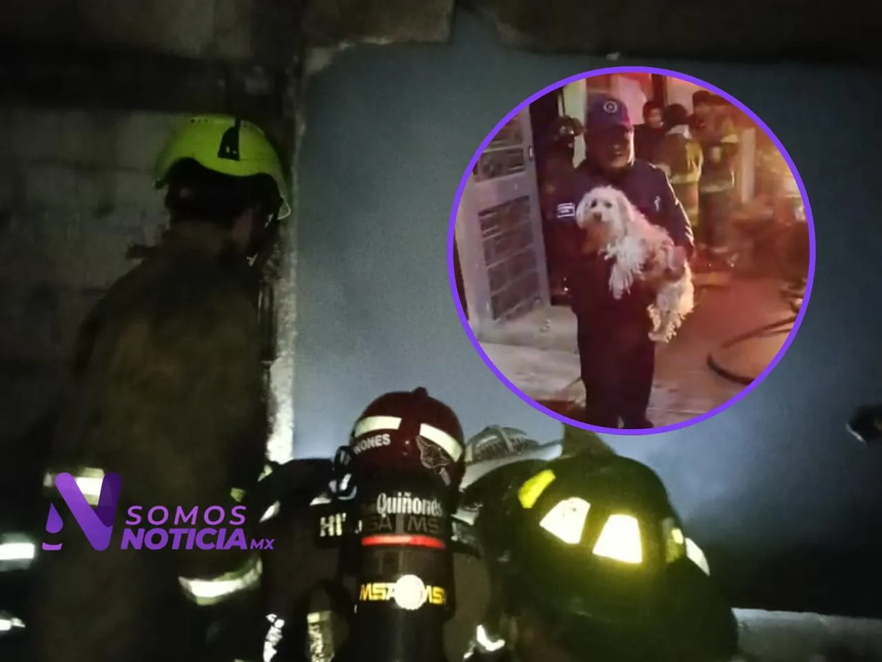 Incendio en Ecatepec moviliza a bomberos; rescatan cinco mascotas
