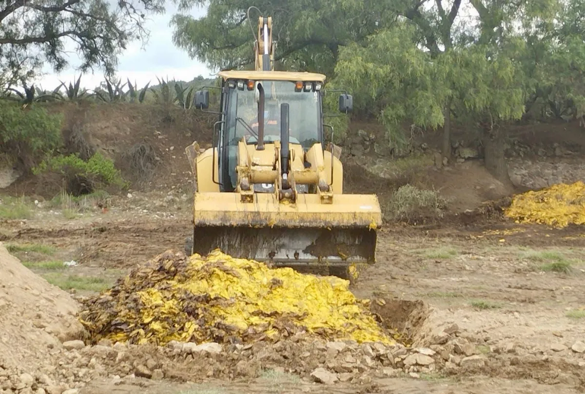 Temascalapa enfrenta proliferación de moscos por acumulación de desechos