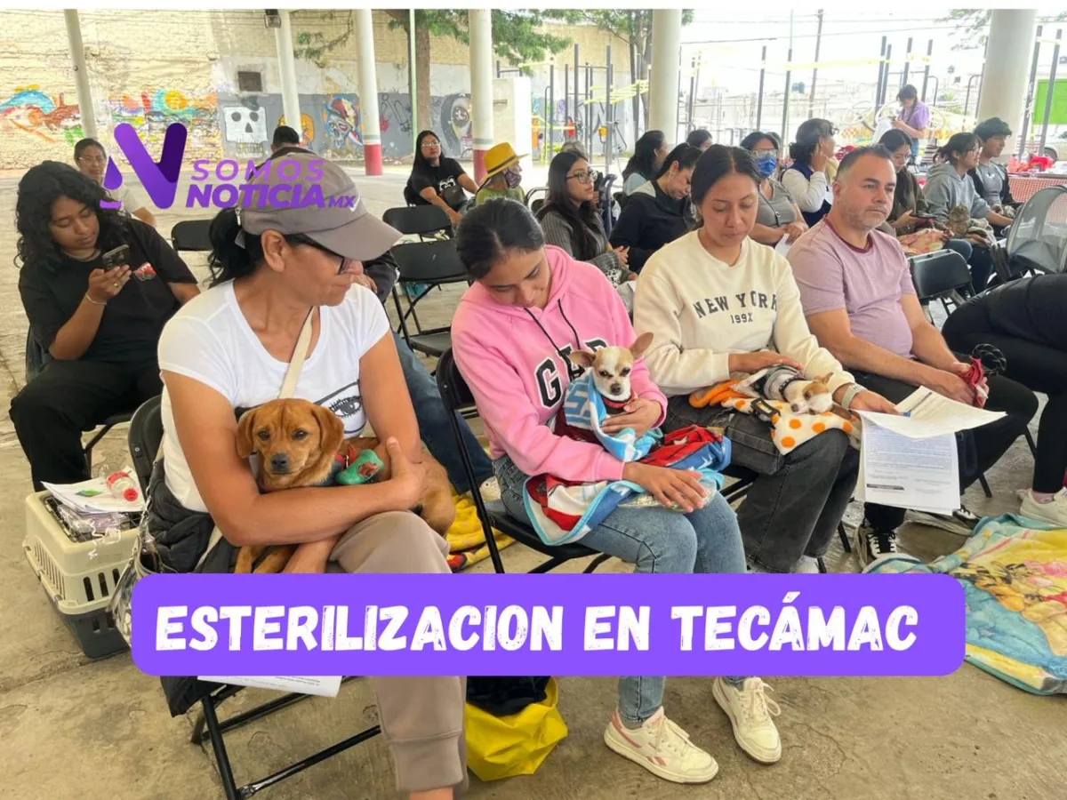 Esterilizaciones gratuitas recorrerán comunidades de Tecámac durante junio