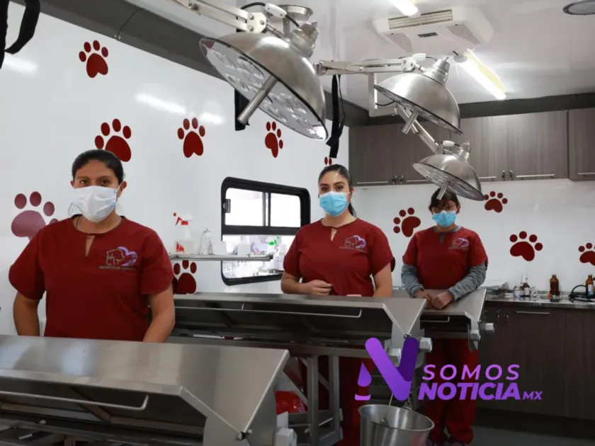 Anuncian calendario de esterilización para perros y gatos en Tecámac