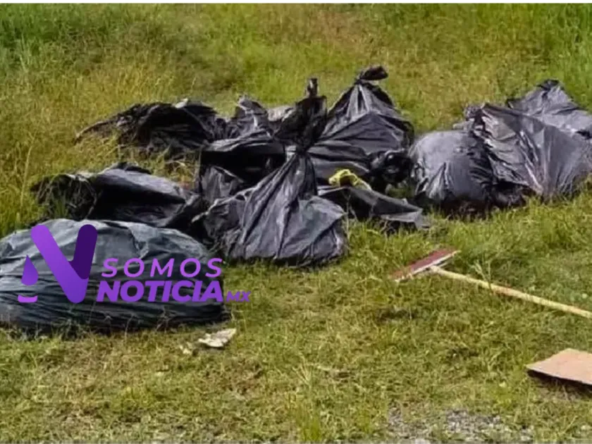 Investigan hallazgo de restos humanos dentro de bolsas en Coatlinchán