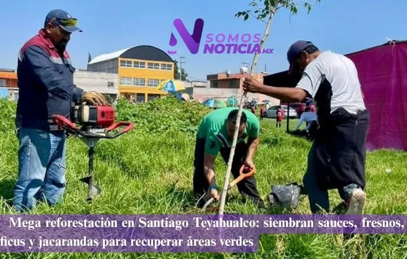 Realizan mega reforestación en Tultepec para recuperar áreas verdes